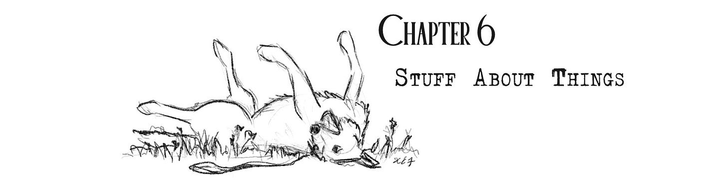 chapter header example featuring a dog rolling on grass