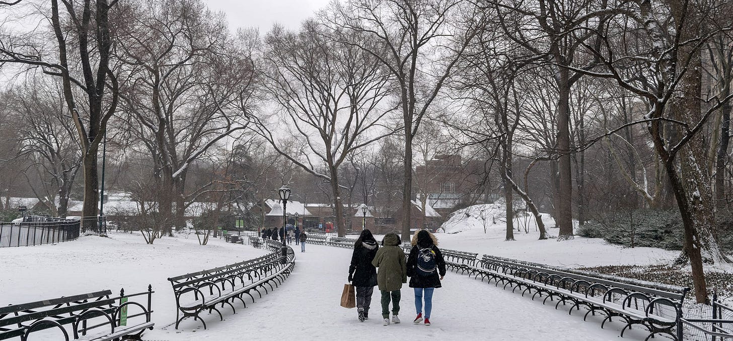 Three parkgoers bundled up for winter walk a snowcovered, bench-lined path in the Park