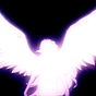أروى's avatar