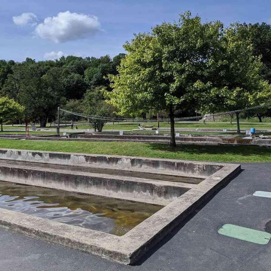 Powder Mills Park summer fish hatchery Powder Mills Park summer fish hatchery