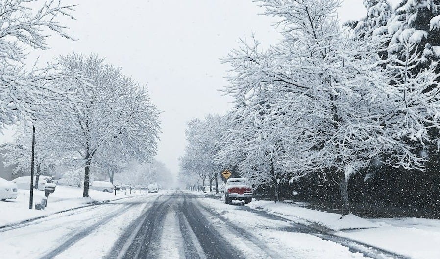 red vehicle parking near tree during winter season