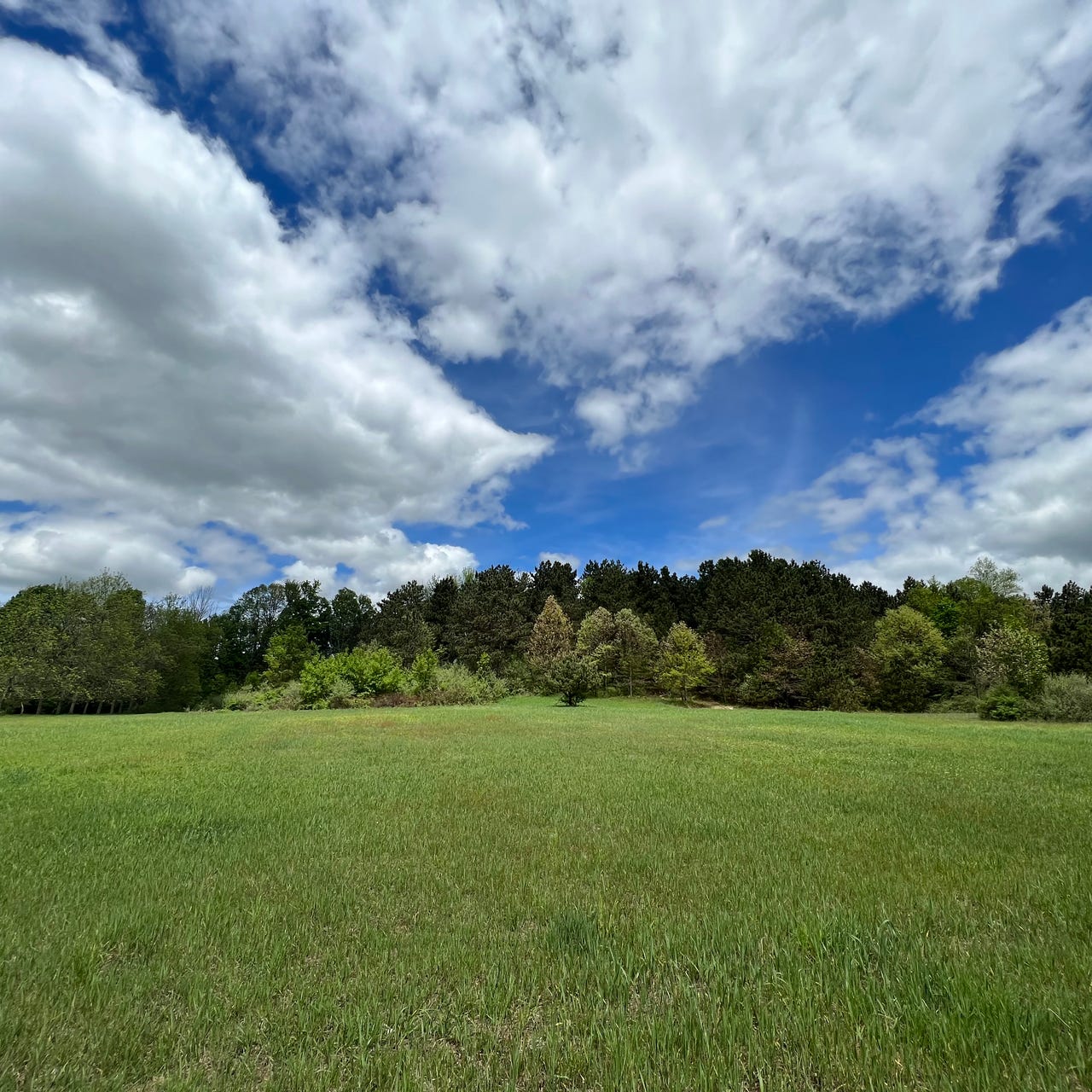 Northwoods Farm and Skill