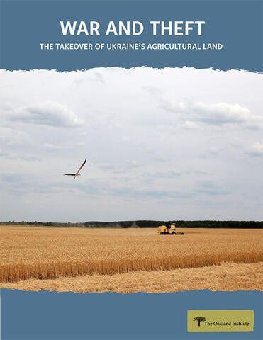 A bird flying over a field
Description automatically generated A bird flying over a field
Description automatically generated