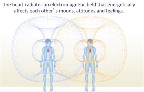 Everything Is Vibrational Energy - Including YOU. - Project Me Everything Is Vibrational Energy - Including YOU. - Project Me