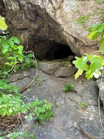 The image depicts a narrow, rocky cave entrance nestled amidst lush, green foliage and rugged stone walls.
AI-generated content may be incorrect. The image depicts a narrow, rocky cave entrance nestled amidst lush, green foliage and rugged stone walls.
AI-generated content may be incorrect.