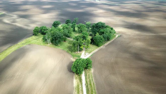 This tree-lined driveway, off of State Route 38, is part of the Madison County farmland owned by Microsoft cofounder Bill Gates that might become part of a solar farm. The actual owner of the farm is a company called Midwest Farms, owner of about 6,300 acres of farmland in Union, Deer Creek, Monroe and Somerford townships. This tree-lined driveway, off of State Route 38, is part of the Madison County farmland owned by Microsoft cofounder Bill Gates that might become part of a solar farm. The actual owner of the farm is a company called Midwest Farms, owner of about 6,300 acres of farmland in Union, Deer Creek, Monroe and Somerford townships.