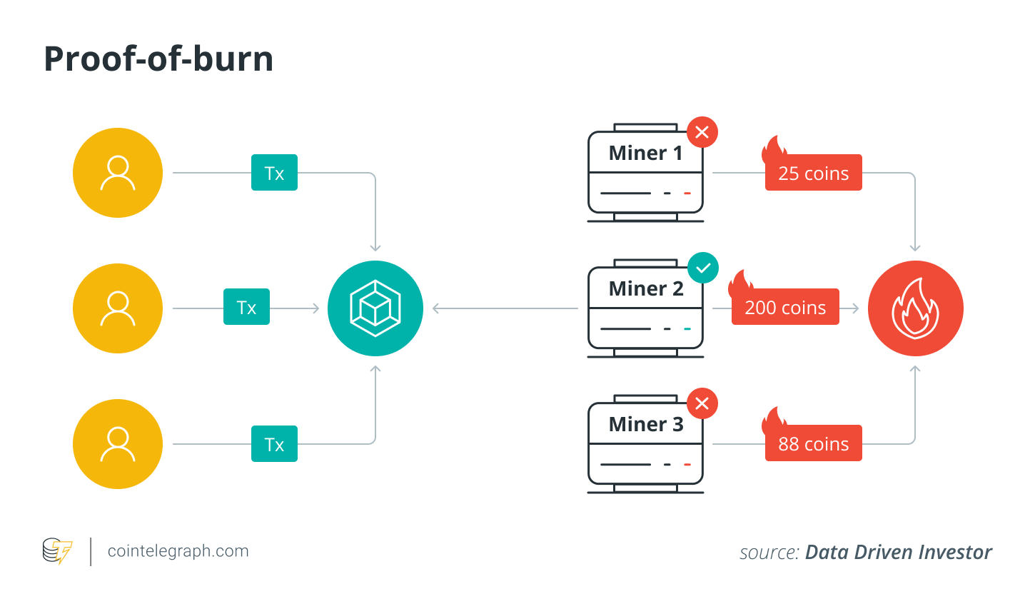 Inside the blockchain developer's mind: Proof-of-burn blockchain consensus