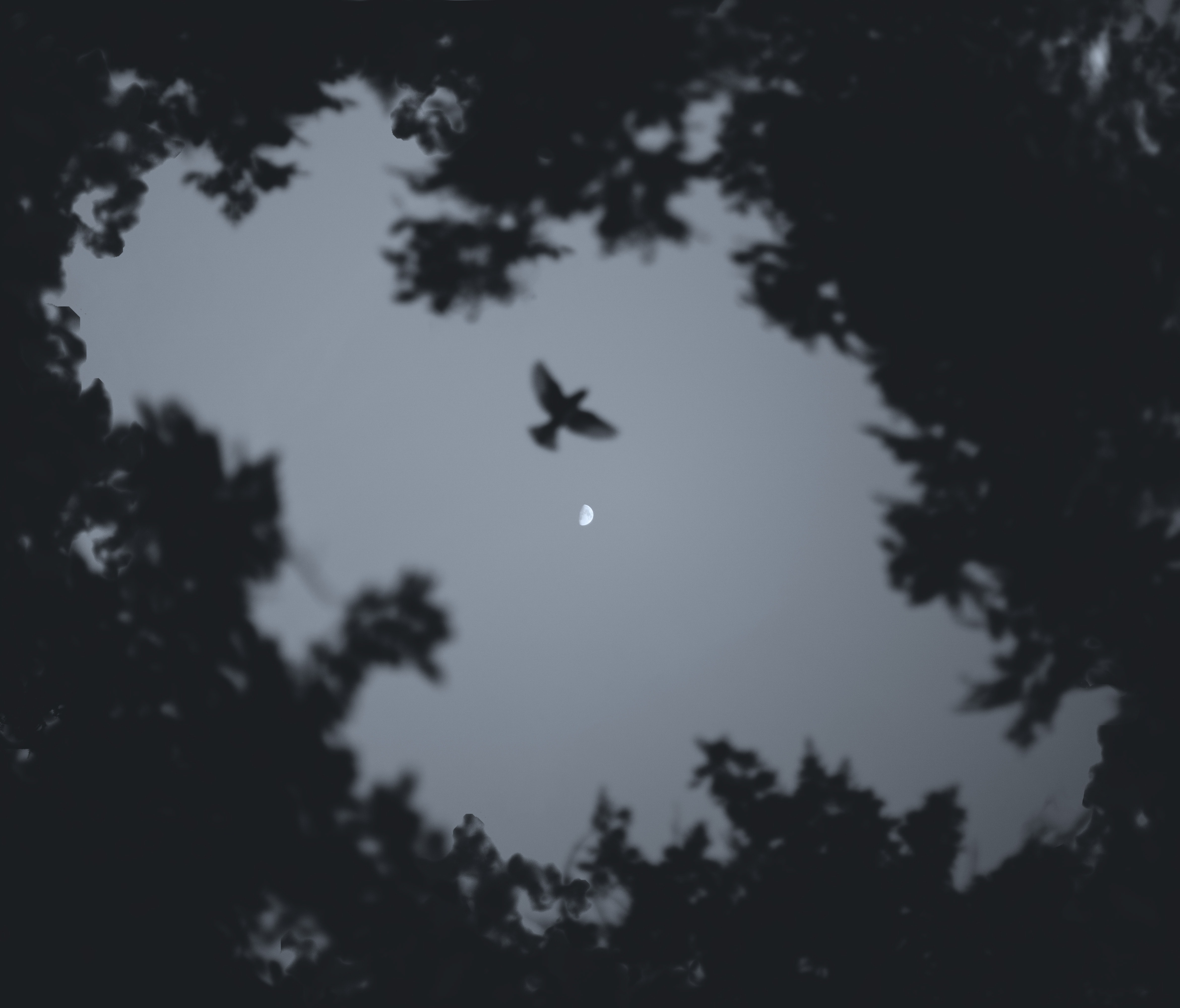 Substack profile picture for @vestige