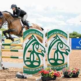 Winning weekend at NIHB Summer Show 