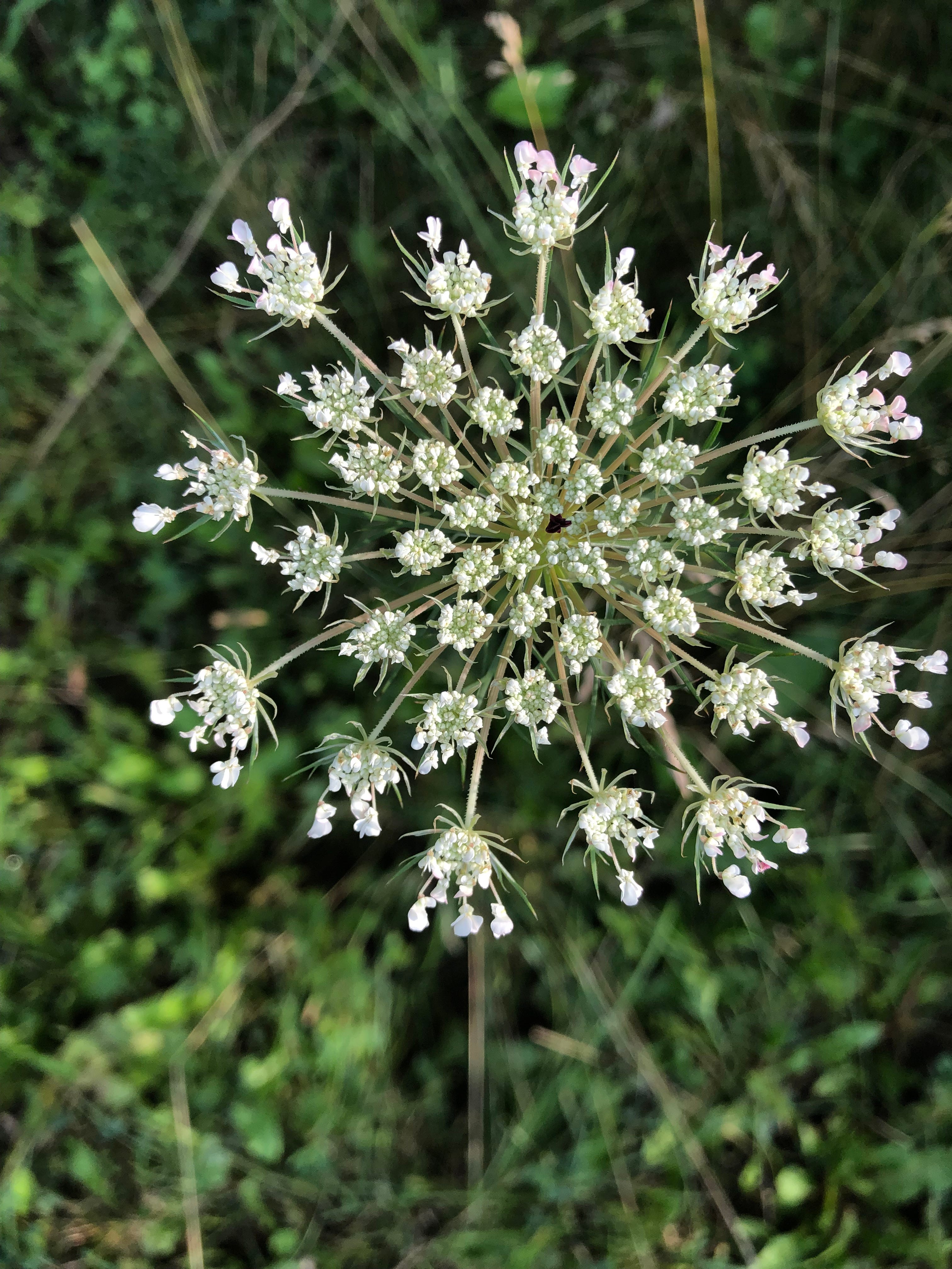 Unfurling Yarns by Stephanie Kazdan