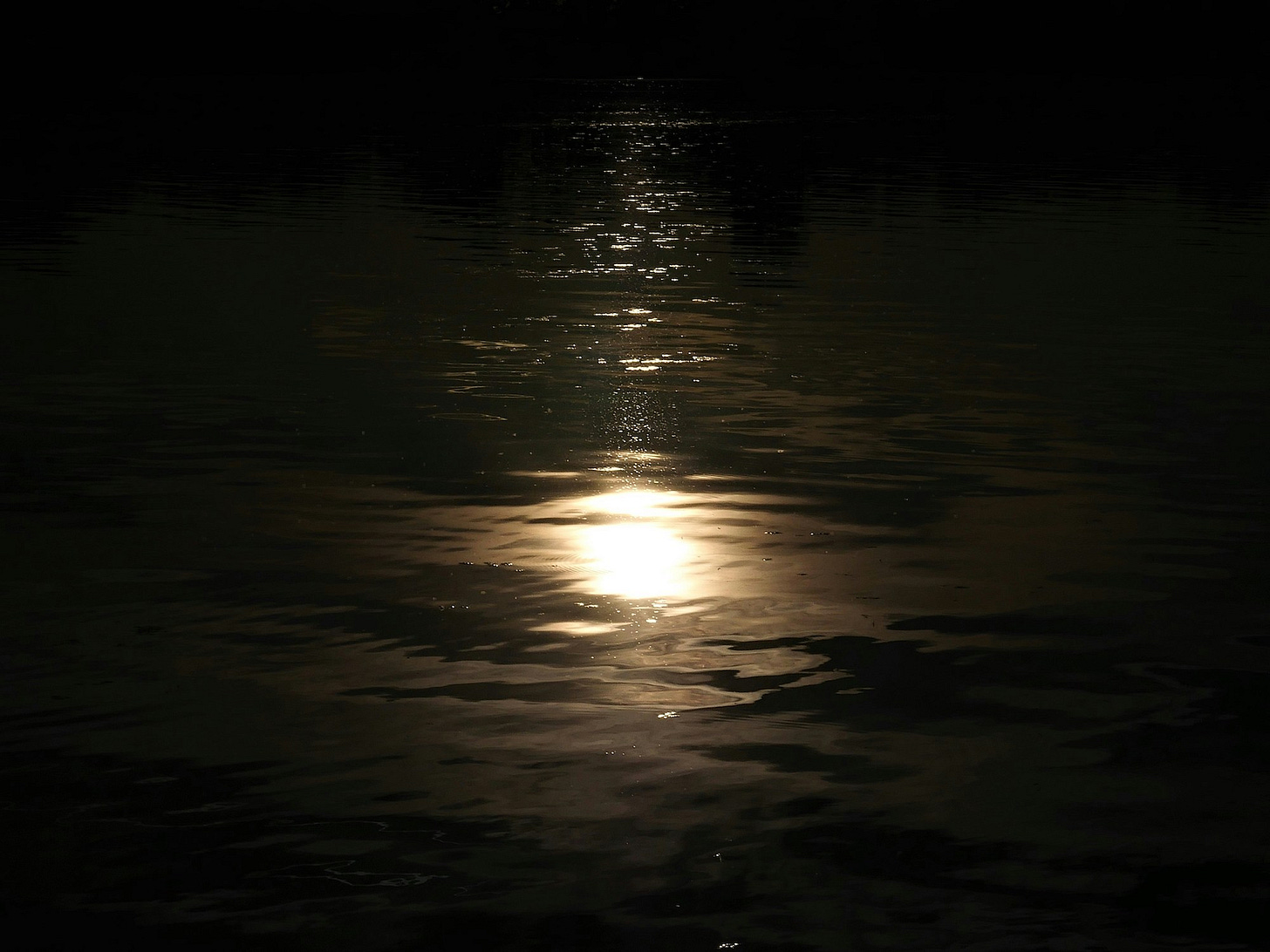 Moon shining on water creating a path of light