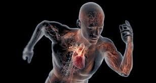 Am I ADRENALINE JUNKIES?. What are ...