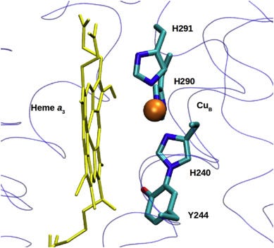 Fig. 2 Fig. 2