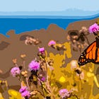 The Forecast Calls for Monarchs