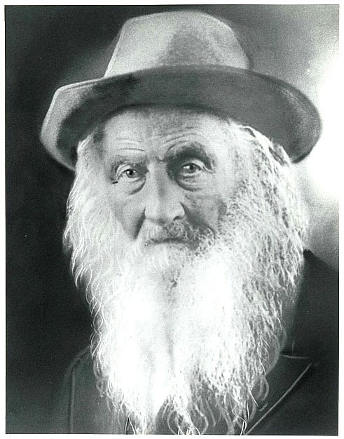 My Great-Great Grandfather, Private & Civil War Veteran Levi Evarts