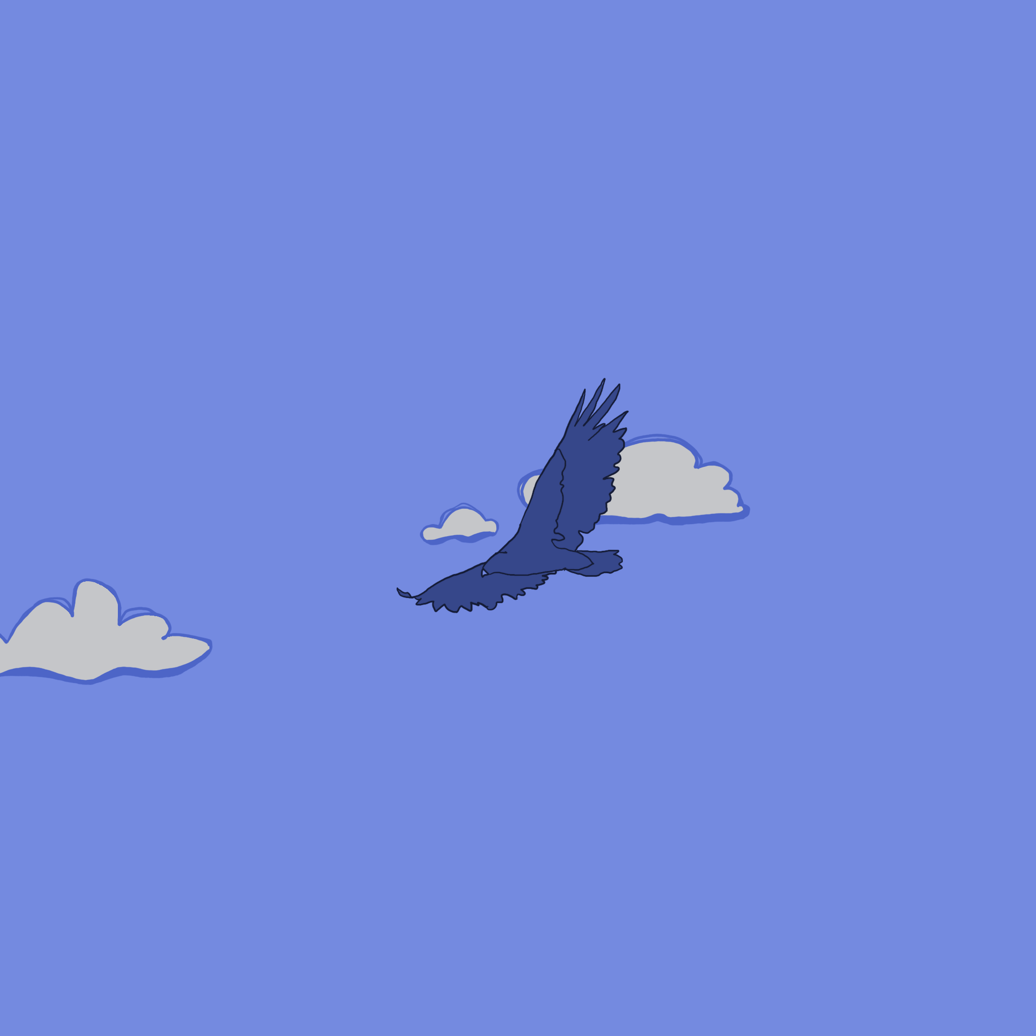 Juxtapositions in Black… « Arthur Morris/BIRDS AS ART, image size:2048x2048