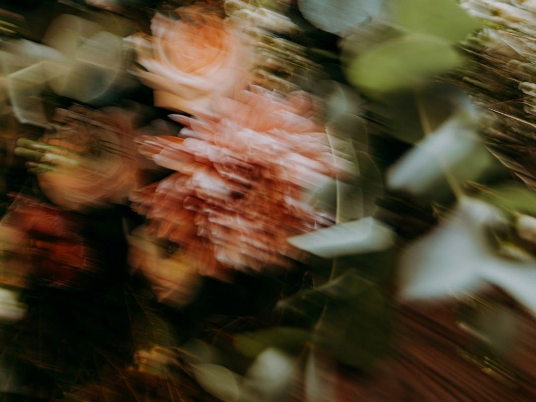 a blurry photo of a bunch of flowers