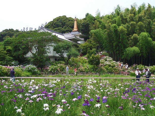 Hondo-Ji Temple, Chiba, Japan Hondo-Ji Temple, Chiba, Japan