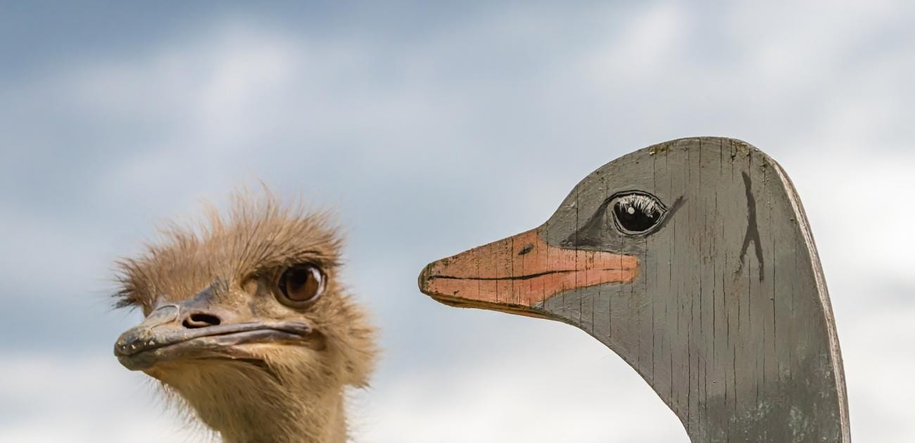 Veracidad y credibilidad Veracidad y credibilidad