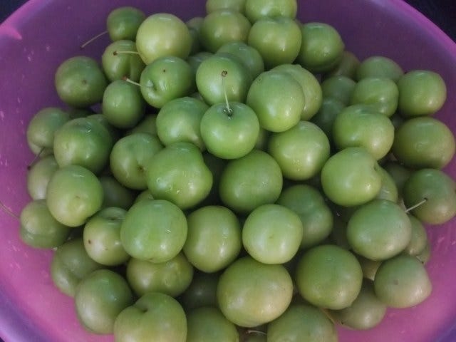 GREEN TKEMALI – SOUR PLUM SAUCE | Georgian Recipes