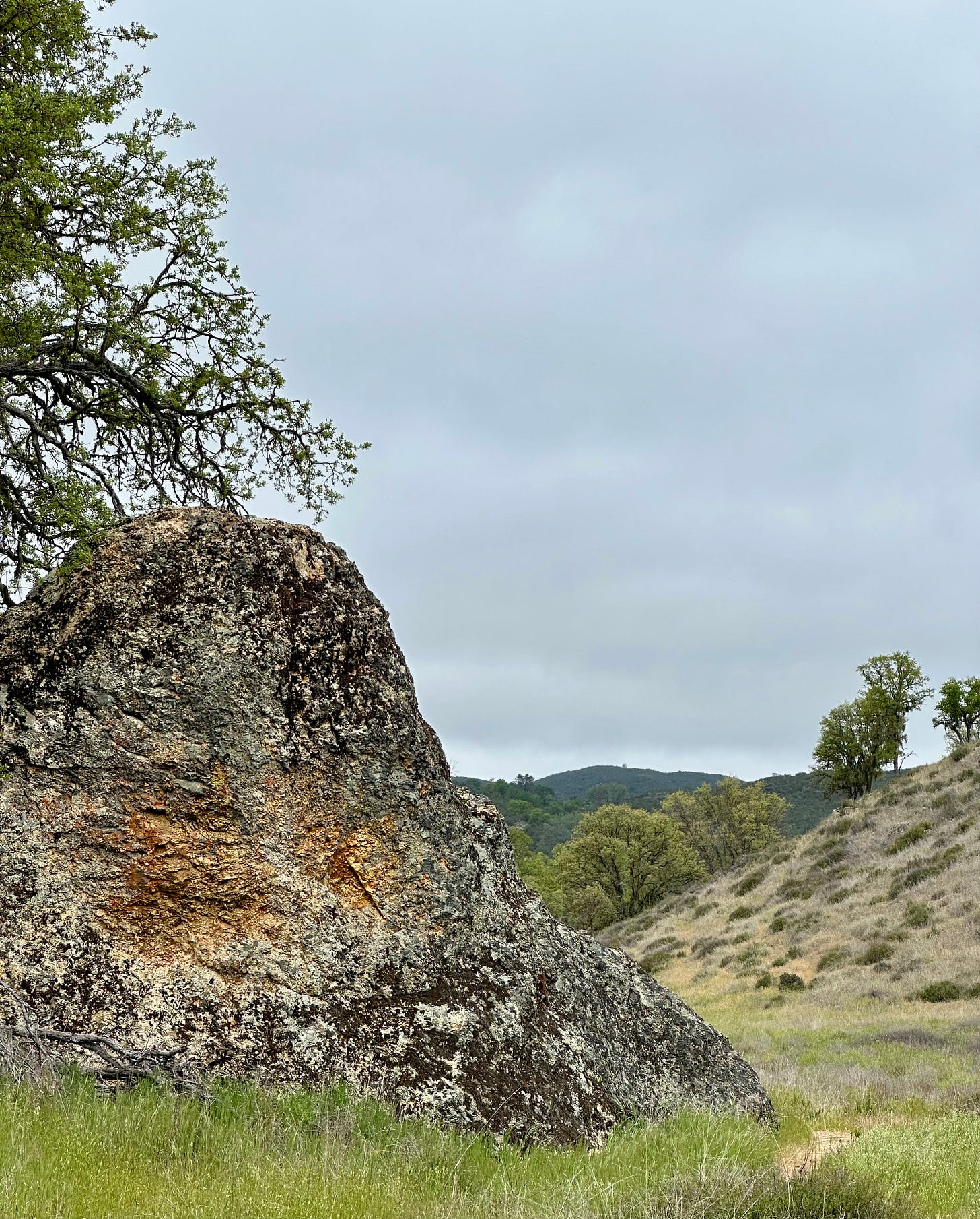 giant rock, pinnacles national park