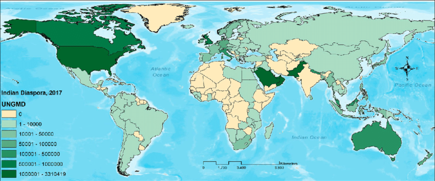 The-territorial-distribution-cartogram-of-the-Indian-diaspora-population-in-2017.png