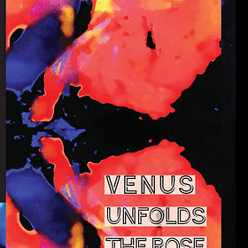 Introducing Venus Unfolds the Rose