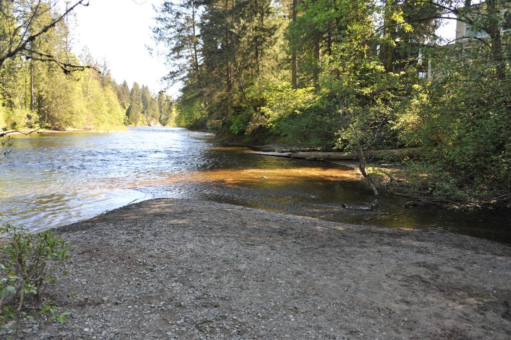 A beach area among the forest where Morrison Creek and the Puntledge River meet. A beach area among the forest where Morrison Creek and the Puntledge River meet.