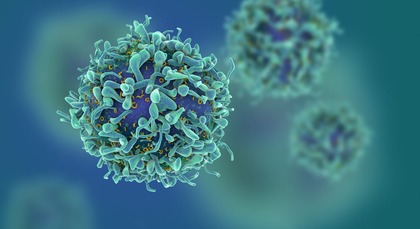 T Cells: What Activates T Cells & Where Do T Cells Mature?