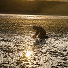 Field Notes: The Wonders of Bodega Bay Marine Lab