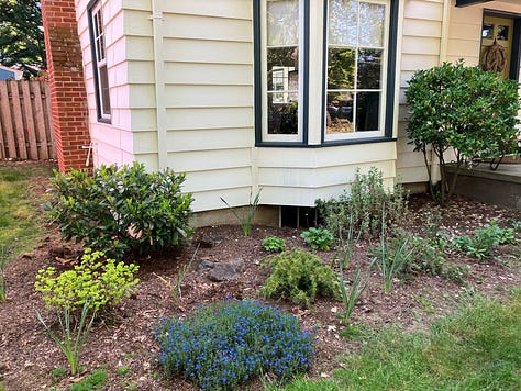 Trees: Birch, Maple, Elm, Oak, Japanese Maple, Dogwood Fruits and Vegetables: Blueberries, Strawberries, Tomatoes, Pumpkins, Peppers Plants: Rhododendron, Peony, Rosemary, Roses, Lilacs, Hosta, Hydrangea, Wisteria, Daylilies, Daffodils Flowers: Sunflowers