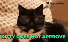 a black cat wearing glasses with the words kitty does not approve above it a black cat wearing glasses with the words kitty does not approve above it