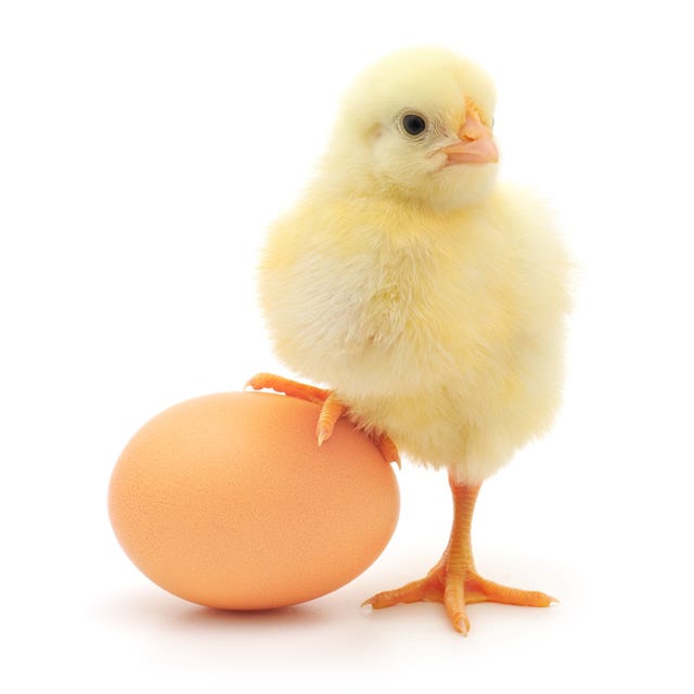 Which came first? I can spend hours arguing for either side.