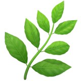 Substack profile picture for @verde
