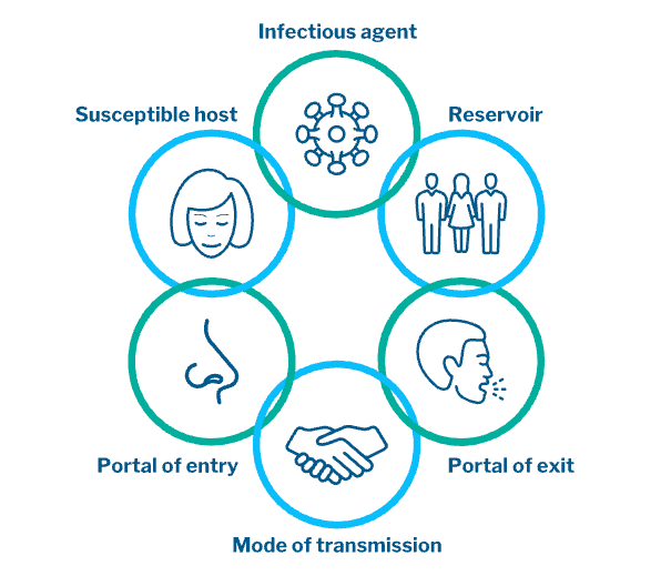 What is the chain of infection? - by World of Epidemiology