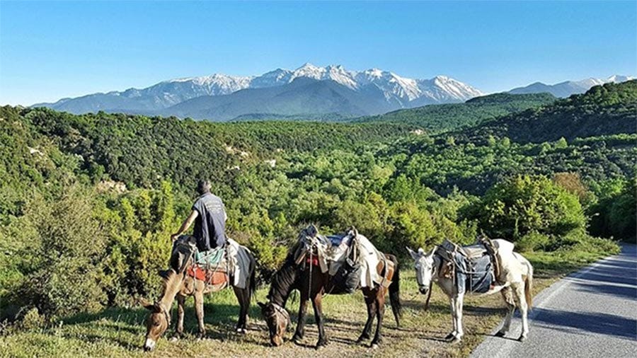 Mount Olympus, the home of the ancient Greek gods, from north at Petra, Pieria. (Cristo Vlahos/ CC BY-SA 4.0) Mount Olympus, the home of the ancient Greek gods, from north at Petra, Pieria. (Cristo Vlahos/ CC BY-SA 4.0)