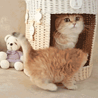 6 Signs That This Is A Bad Restaurant According To A Waiter! Tabs, Fri., April 26, 2024