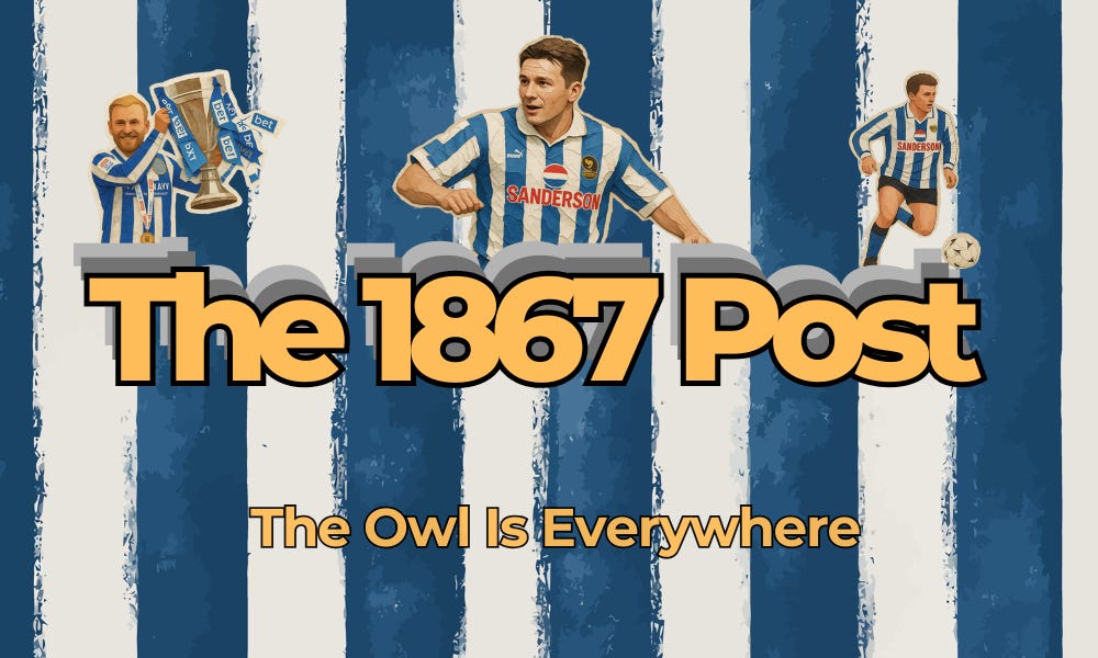 a graphic for the best sheffield wednesdy blog a graphic for the best sheffield wednesdy blog