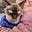 Catlady568's avatar