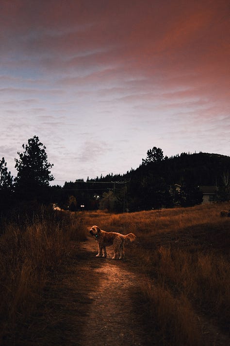 Tyler Knott Gregson fuji photographs of life in Montana