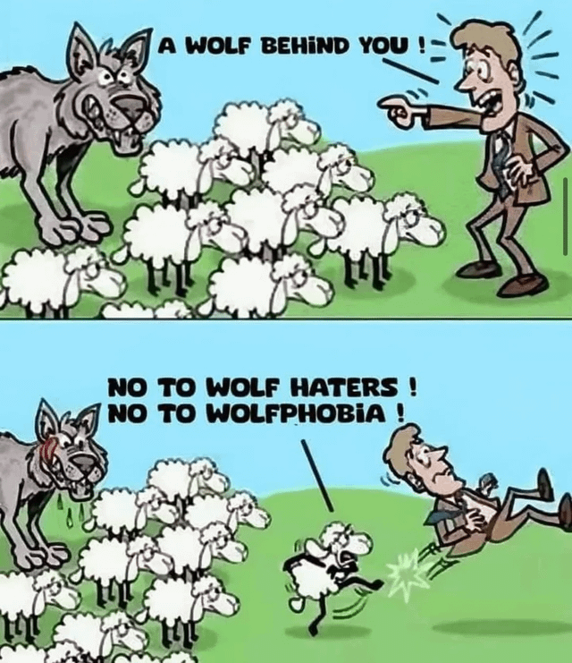 r/ConservativeMemes - wolfphobia