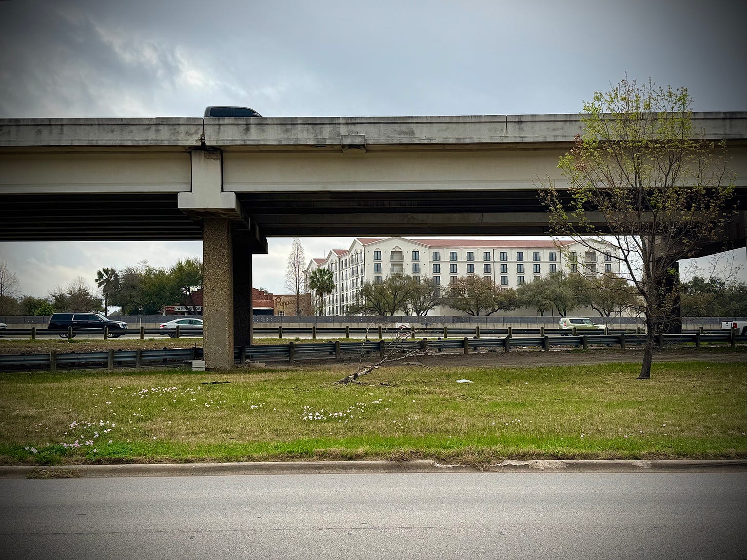 Prairie wildflowers blooming in the median along a double-deck urban interstate highway Prairie wildflowers blooming in the median along a double-deck urban interstate highway