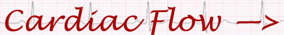 CardiacFlow