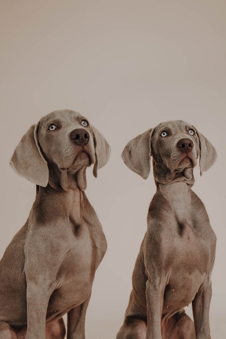 Penelope & Winston