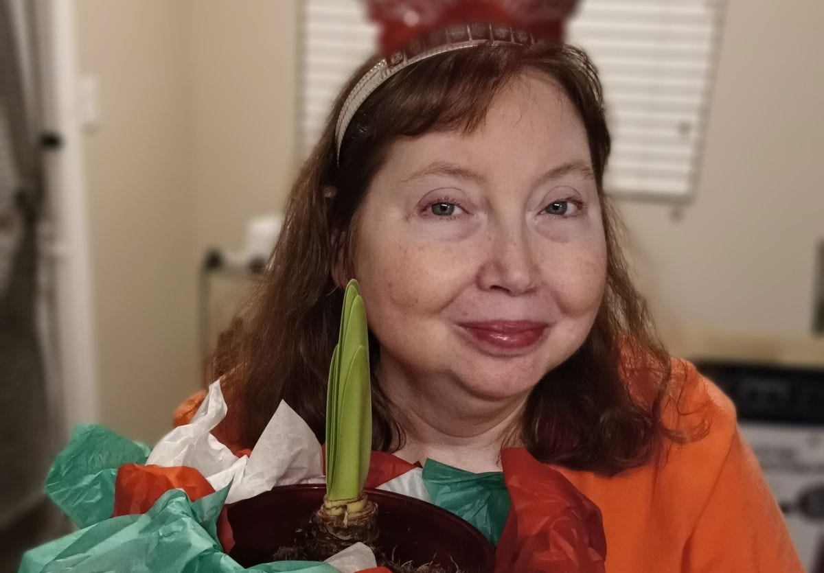 a woman with auburn hair and blue eyes wearing a red shirt and a New Year's Eve tiara is holding a pot with green shoots, the pot is covered with multicolored paper