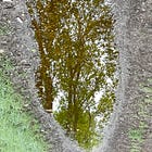 DE HEUVEL VAN DE PAARDEN-KONING