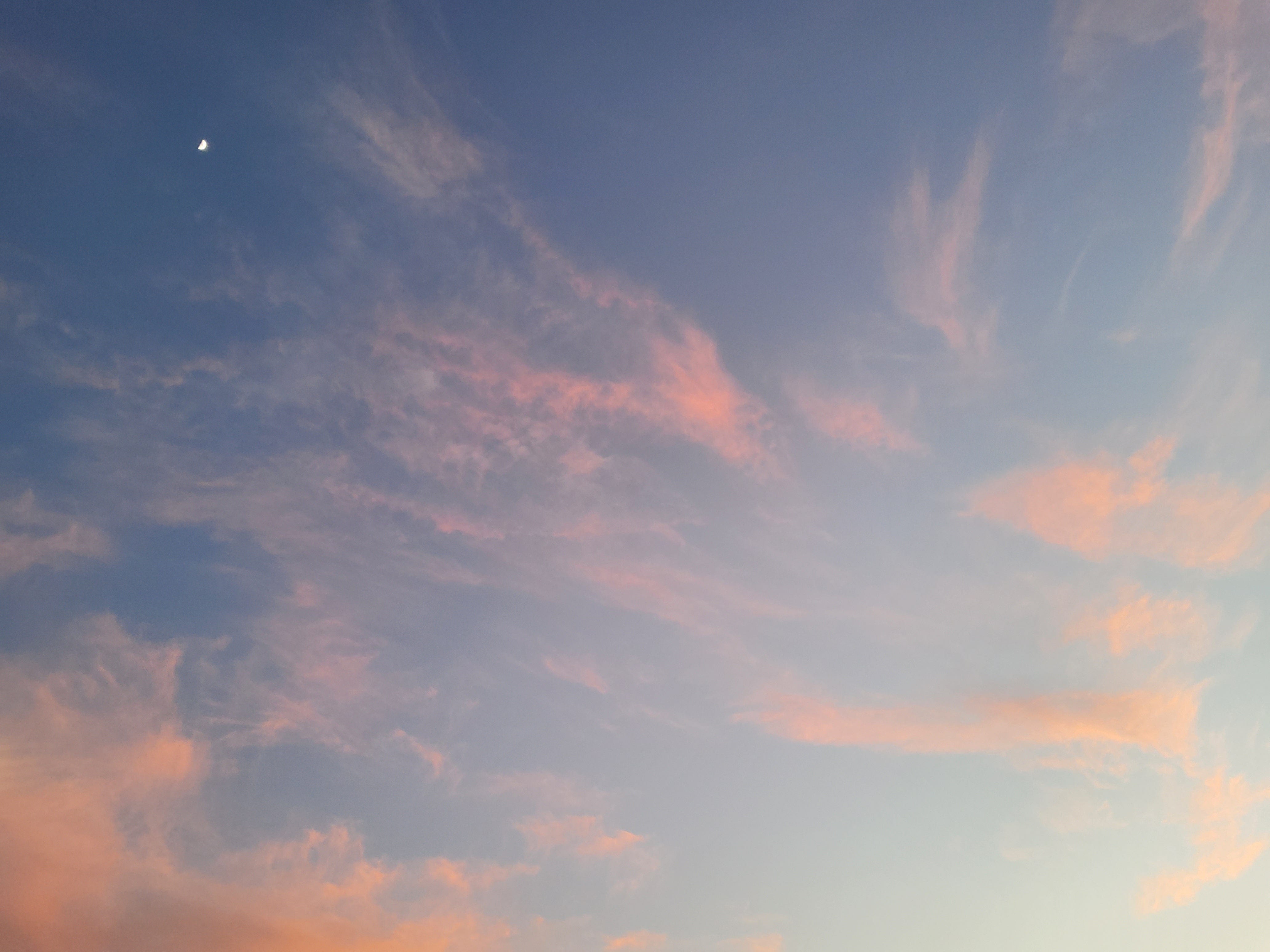 Interdweller’s Substack