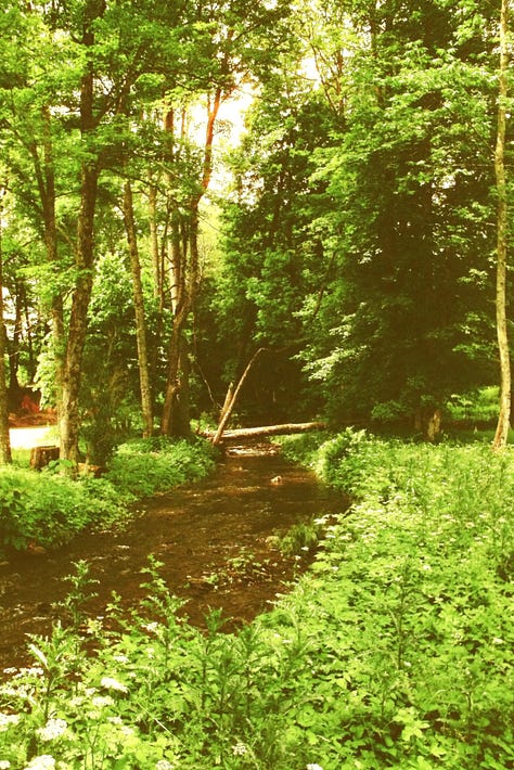 Harman Phoenix Film - Cooperstown NY