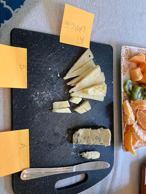 Chedder, gouda, and other cheese for tasting