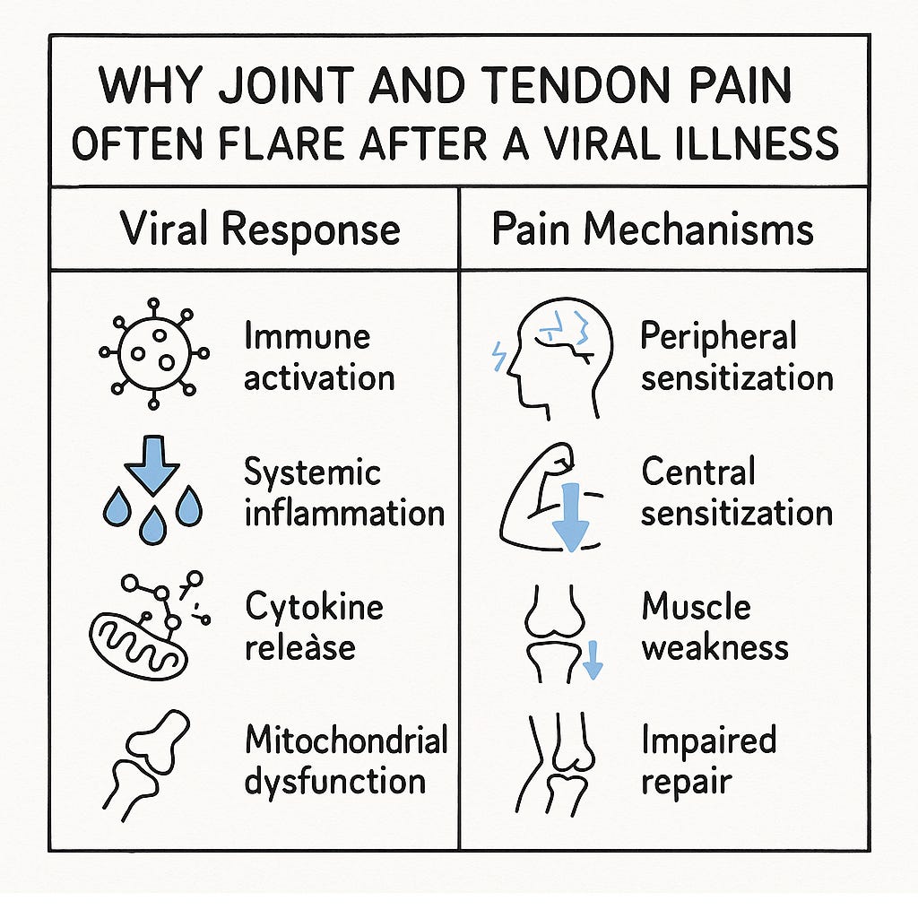 Post Infection Post-Viral Syndromes And Their Impact on Exercise, Performance and Pain
